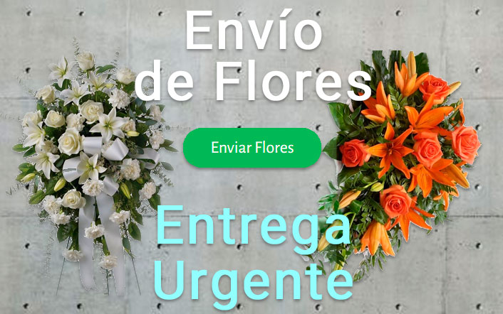 Envío de flores urgente a Tanatorio Vic